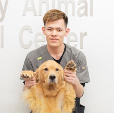動物看護師　朝野